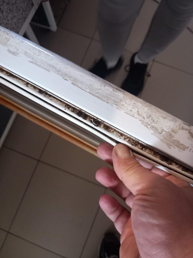 foto anpc a verificat peste 1 600 de operatori economici si a aplicat amenzi de peste 5 milioane de lei foto anpc a verificat peste 1 600 de operatori economici si a aplicat amenzi de peste 5 milioane de lei