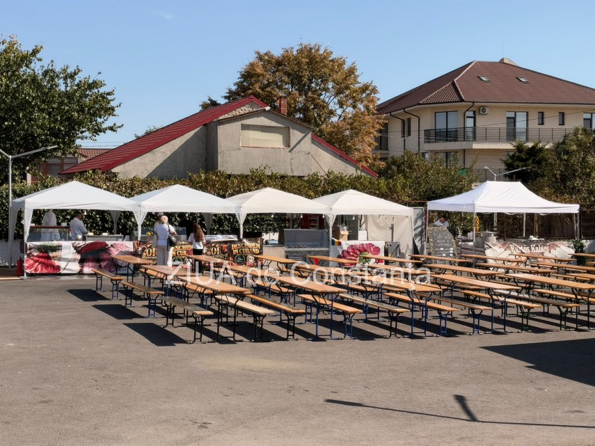 foto video festivalul sarmalutelor prima editie are loc astazi la cumpana o sarbatoare a gustului si foto video festivalul sarmalutelor prima editie are loc astazi la cumpana o sarbatoare a gustului si