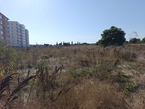 licitatii constanta anaf scoate la valorificare terenuri si o proprietate printre oferte o pasune de licitatii constanta anaf scoate la valorificare terenuri si o proprietate printre oferte o pasune de