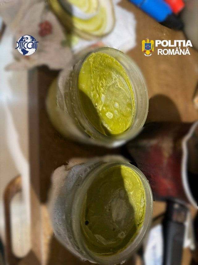 foto mai multe culturi outdoor de canabis depistate in judetul cluj patru suspecti au ajuns dupa gratii foto mai multe culturi outdoor de canabis depistate in judetul cluj patru suspecti au ajuns dupa gratii