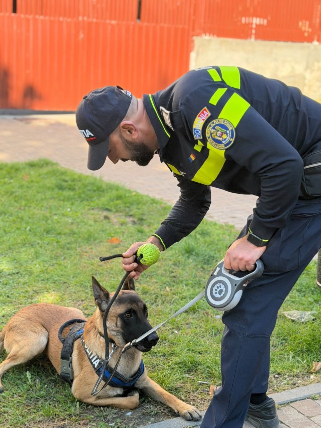 foto politia romana intensifica actiunile in scoli peste 2 300 de activitati de prevenire intr o singura foto politia romana intensifica actiunile in scoli peste 2 300 de activitati de prevenire intr o singura