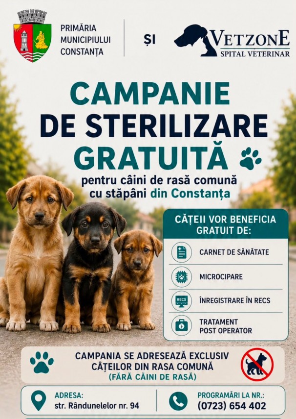 foto sterilizare si microcipare gratuita pentru cainii cu stapan din constanta locuri disponibile si foto sterilizare si microcipare gratuita pentru cainii cu stapan din constanta locuri disponibile si