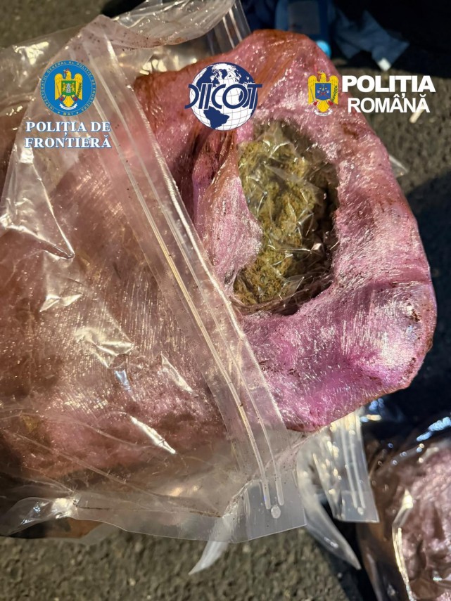 Sursă:DIICOT