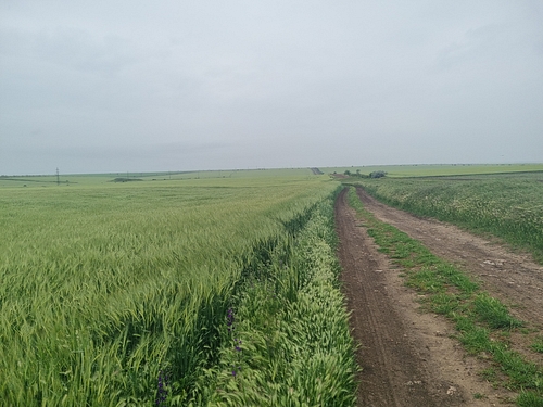 un teren agricol de 7 000 mp din cumpana scos la licitatie de anaf iata pretul de pornire 956804 un teren agricol de 7 000 mp din cumpana scos la licitatie de anaf iata pretul de pornire 956804