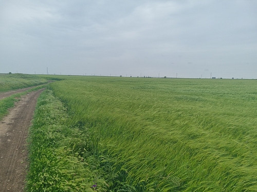 un teren agricol de 7 000 mp din cumpana scos la licitatie de anaf iata pretul de pornire 956804 un teren agricol de 7 000 mp din cumpana scos la licitatie de anaf iata pretul de pornire 956804