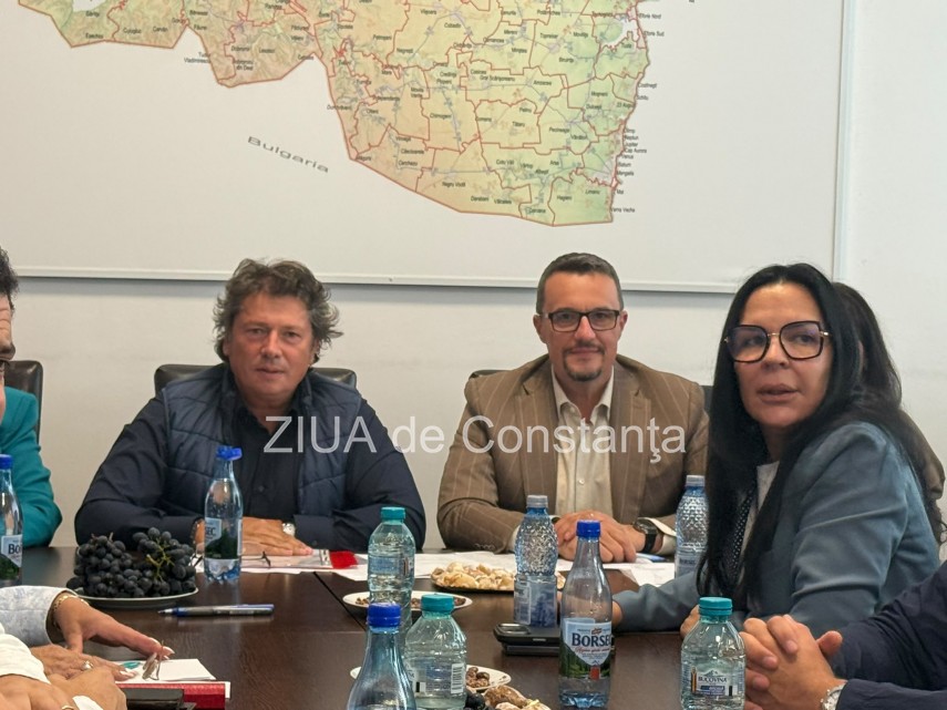 Daniel Georgescu, Eduard Martin și Mirela Matichescu