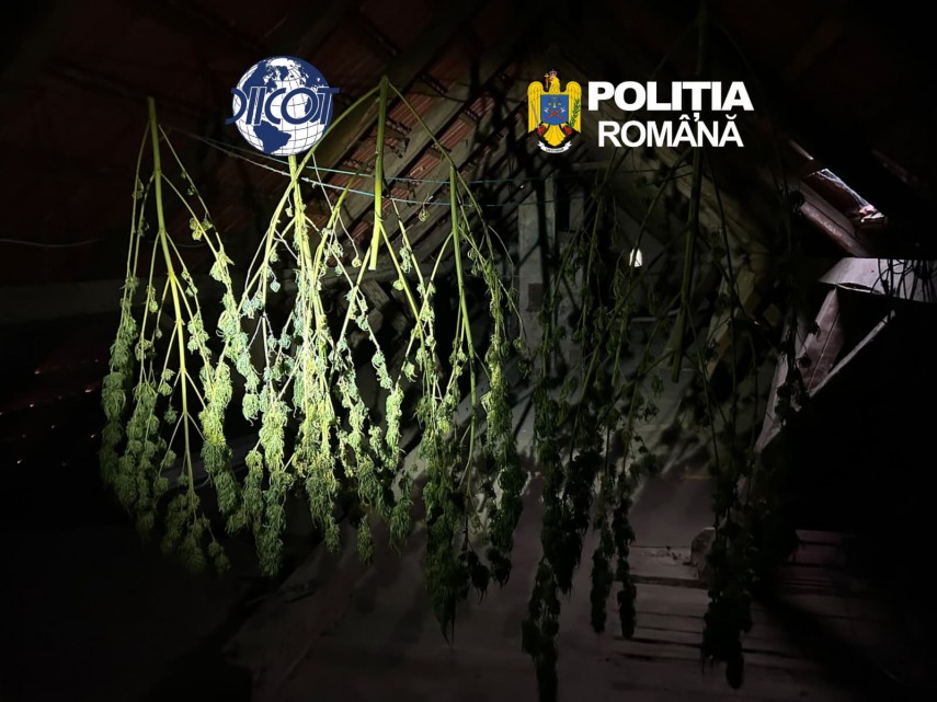 Sursă foto: DIICOT