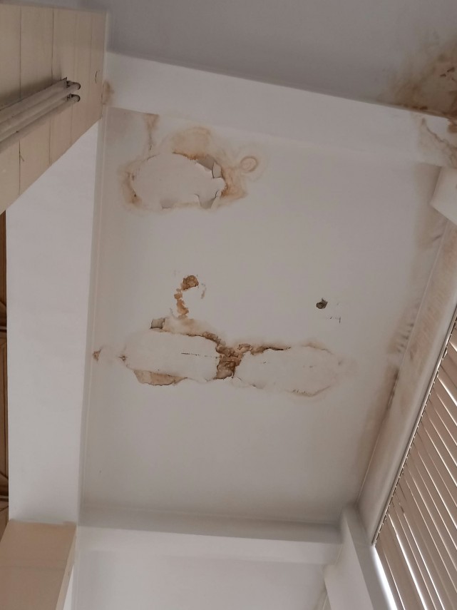 foto amenzi de peste 1 1 milioane de lei aplicate de comisarii cjpc constanta in ultima saptamana ce foto amenzi de peste 1 1 milioane de lei aplicate de comisarii cjpc constanta in ultima saptamana ce