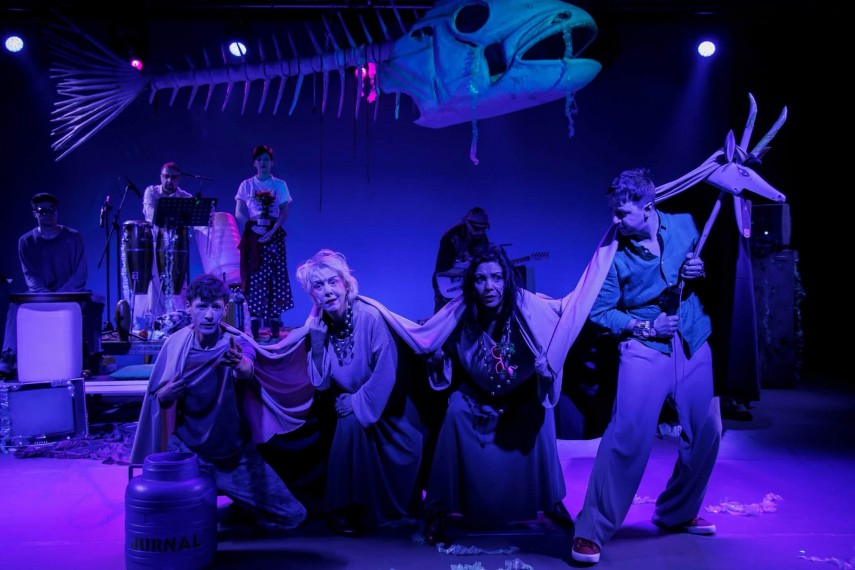 spectacolul o insula al teatrului de stat constanta a primit premiul special al juriului in cadrul festivalului spectacolul o insula al teatrului de stat constanta a primit premiul special al juriului in cadrul festivalului