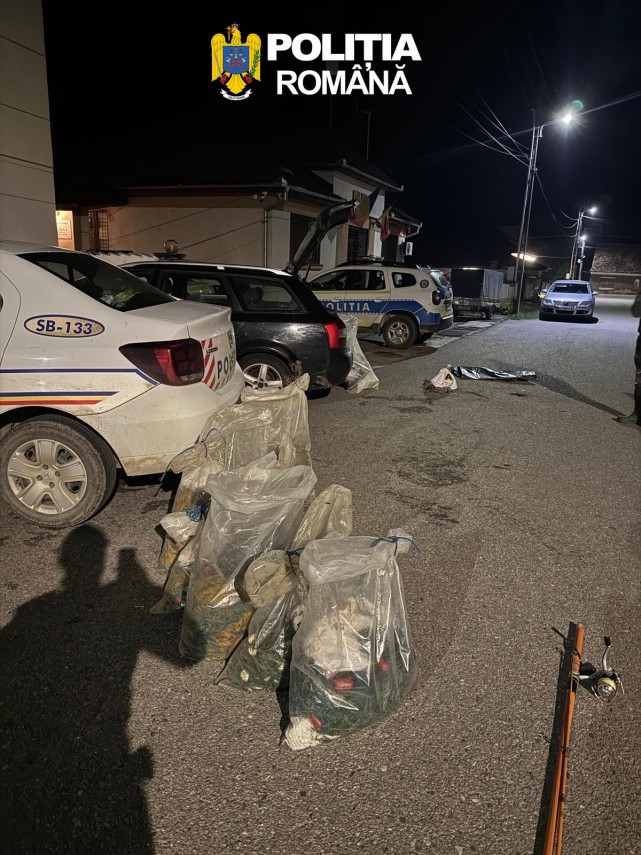 foto stiri romania arme detinute fara drept descoperite de politisti in urma unor perchezitii domiciliare foto stiri romania arme detinute fara drept descoperite de politisti in urma unor perchezitii domiciliare