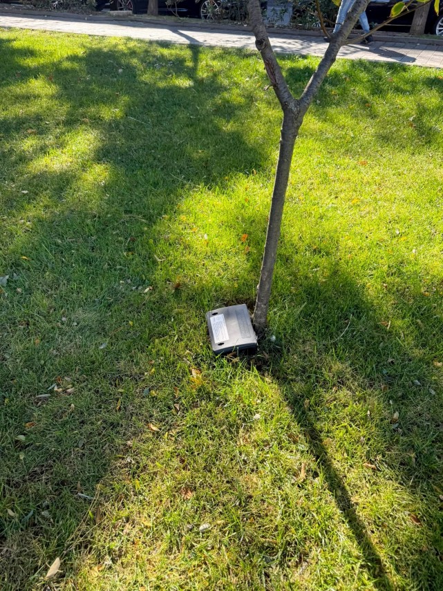 foto constanta in plina actiune de deratizare pana la 31 octombrie unde vor fi amplasate momelile toxice foto constanta in plina actiune de deratizare pana la 31 octombrie unde vor fi amplasate momelile toxice