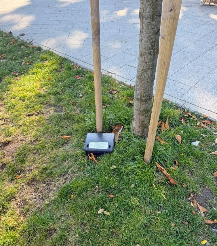 foto constanta in plina actiune de deratizare pana la 31 octombrie unde vor fi amplasate momelile toxice foto constanta in plina actiune de deratizare pana la 31 octombrie unde vor fi amplasate momelile toxice