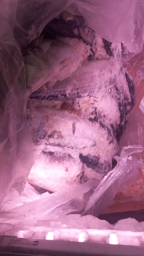 foto amenzi de peste 5 3 milioane de lei aplicate de anpc in ultima saptamana ce nereguli au fost constatate foto amenzi de peste 5 3 milioane de lei aplicate de anpc in ultima saptamana ce nereguli au fost constatate