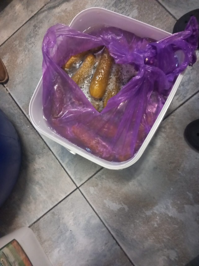 foto video amenzi de peste 1 24 milioane de lei aplicate de cjpc constanta un fast food inchis temporar foto video amenzi de peste 1 24 milioane de lei aplicate de cjpc constanta un fast food inchis temporar