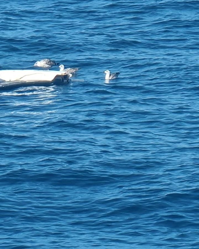 foto vergil chitac de ziua internationala a marii negre nu este zi fara resturi de drone rusesti aduse foto vergil chitac de ziua internationala a marii negre nu este zi fara resturi de drone rusesti aduse