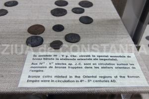 Istoria Dobrogei – Bibliografie: Efrem (sec. XIII-XIV) – Cronică (I)